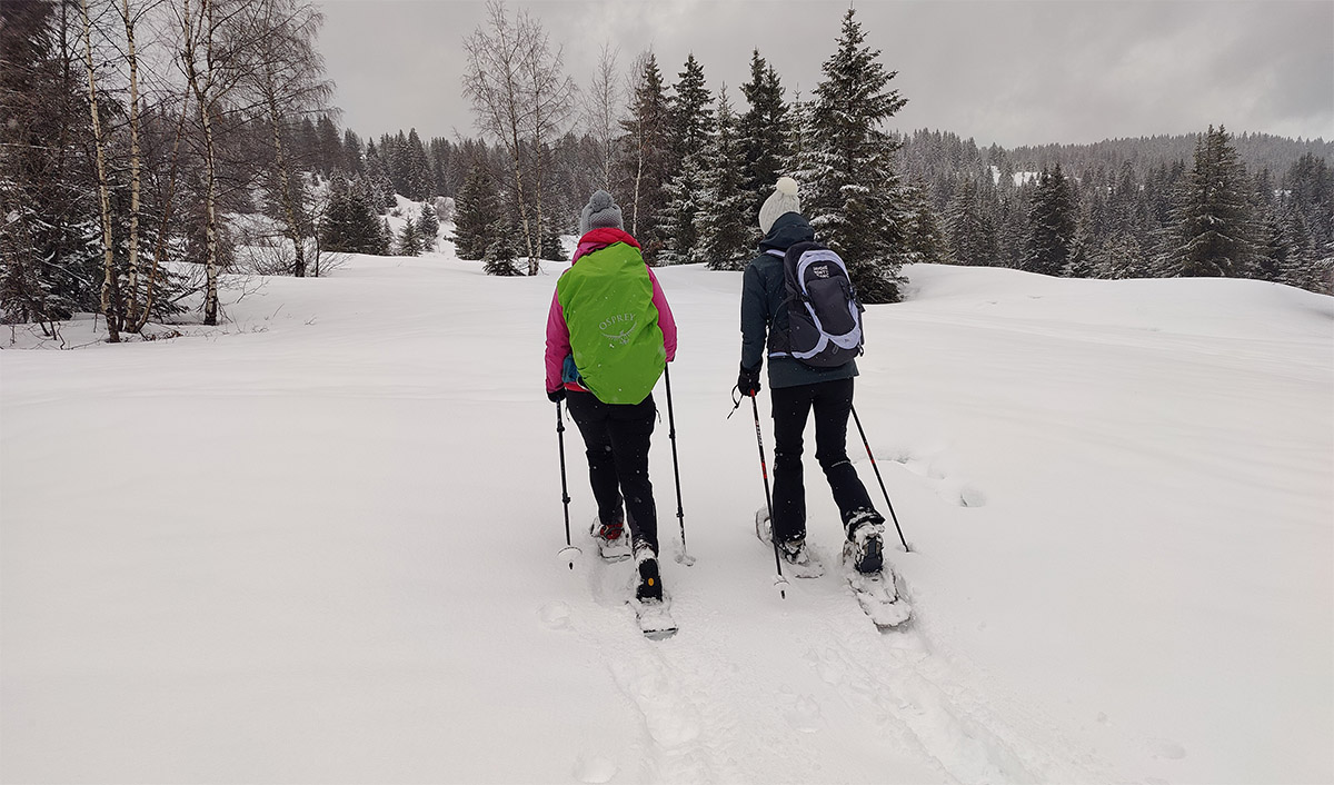 Les Saisies - Snowshoehiking